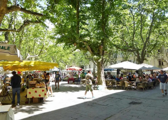 In Near Pont Du Gard *